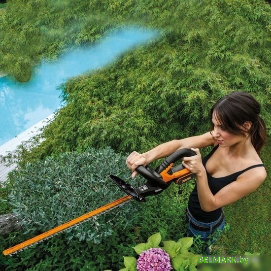 Кусторез Worx WG261E.9 (без АКБ) - фото2