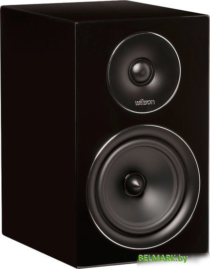 Акустика WILSON Exclusive Line EL-4 (черный) - фото