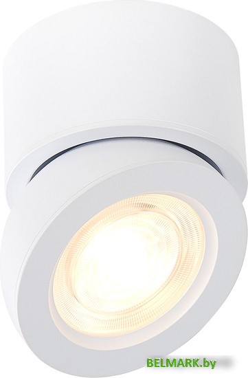 Спот ST Luce ST654 ST654.532.10 - фото