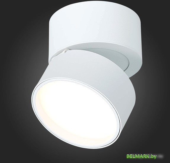 Припотолочная люстра ST Luce ST651.532.09 - фото2