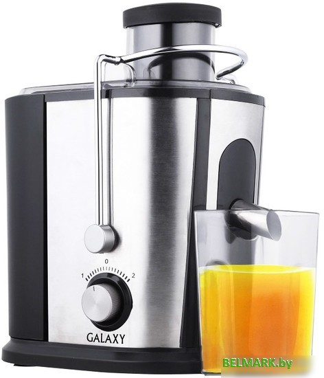 Соковыжималка Galaxy GL0801 - фото