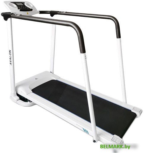 Электрическая беговая дорожка DFC Avalon T185W - фото