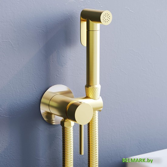 Гигиенический душ RGW SP-211Gb - фото