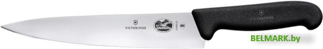 Кухонный нож Victorinox 5.2003.25 - фото