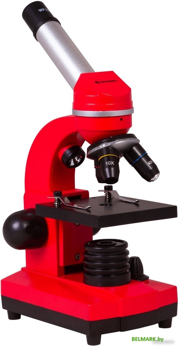 Детский микроскоп Bresser Junior Biolux SEL 40–1600x 74320 (красный) - фото2