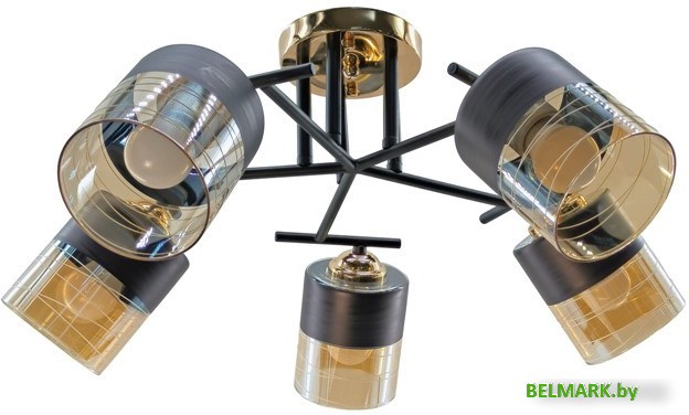 Люстра средней высоты Aitin Pro НПБ 02-5x60-101 A4128/5 (черный/золото) - фото