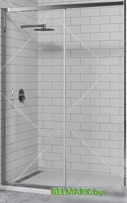 Душевая дверь RGW PA-016 120 (хром/прозрачное стекло) - фото