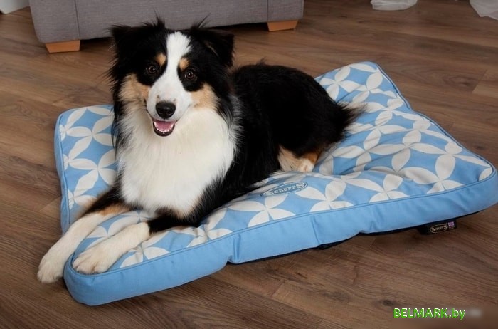 Лежак Scruffs Florence 820853 (голубой) - фото2