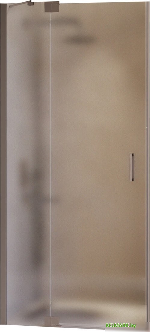 Душевая дверь RGW HO-014Gr 350601414-210 - фото