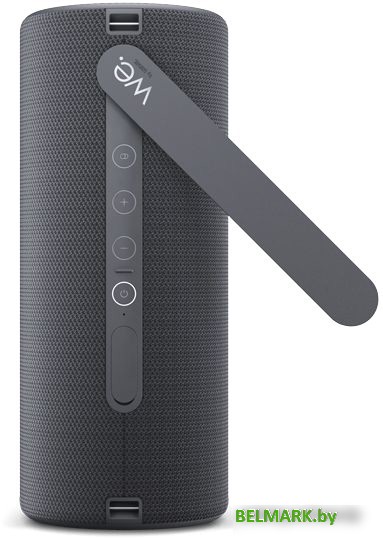 Беспроводная колонка Loewe We. HEAR 2 (черный) - фото2