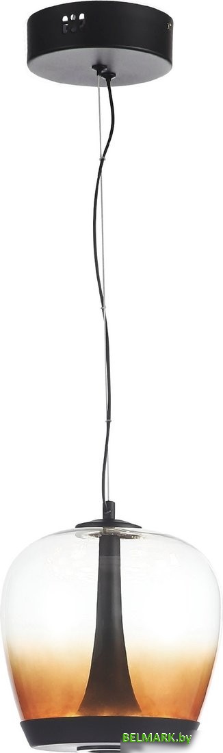 Припотолочная люстра ST Luce SL6014.413.01 - фото