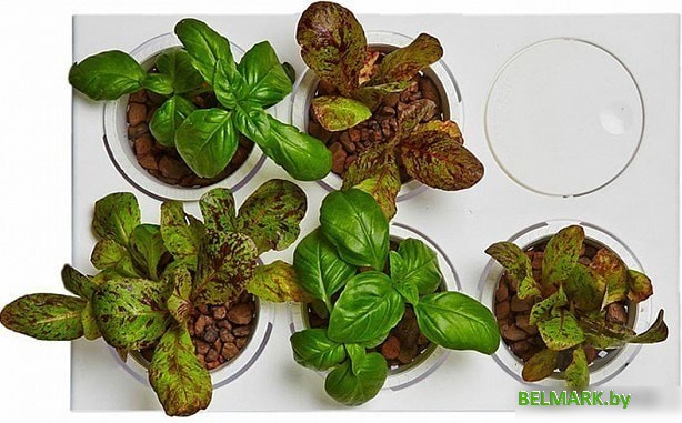 Акваферма Назад к истокам AquaFarm 11 л (белый) - фото2