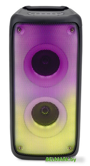 Беспроводная колонка Hyundai H-MC1230 - фото2