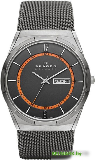 Наручные часы Skagen SKW6007 - фото
