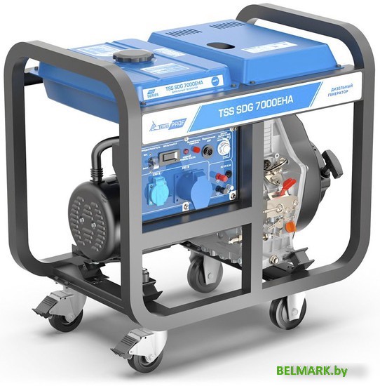 Дизельный генератор ТСС SDG 7000EHA 100033 - фото2
