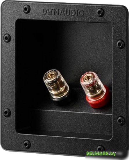 Акустика Dynaudio Evoke 20 (черный рояльный лак) - фото2