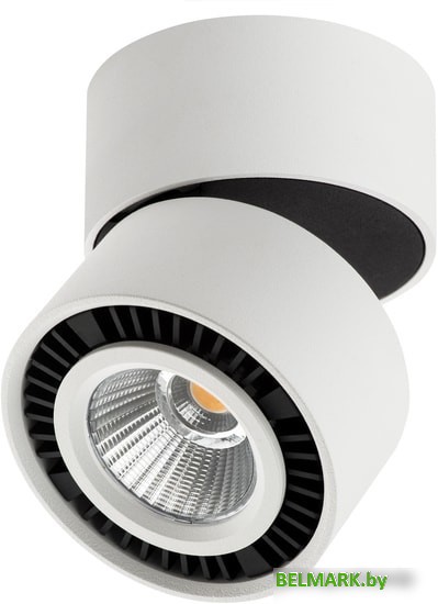 Спот Lightstar Forte Muro 213850 - фото