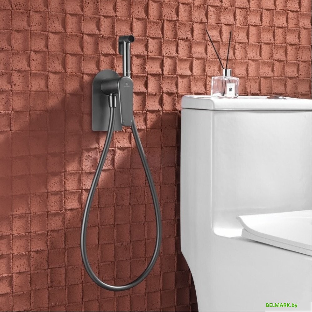 Смеситель с лейкой для биде Ganzer GZ02157-Q - фото2