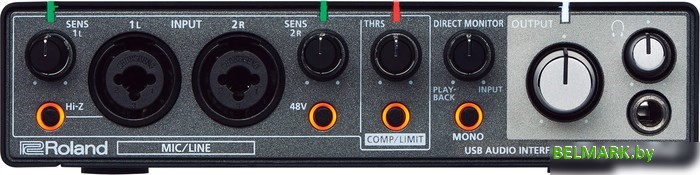 Аудиоинтерфейс Roland Rubix 24 - фото2