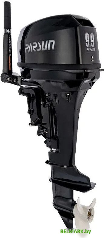Лодочный мотор Parsun T9.9BMS - фото