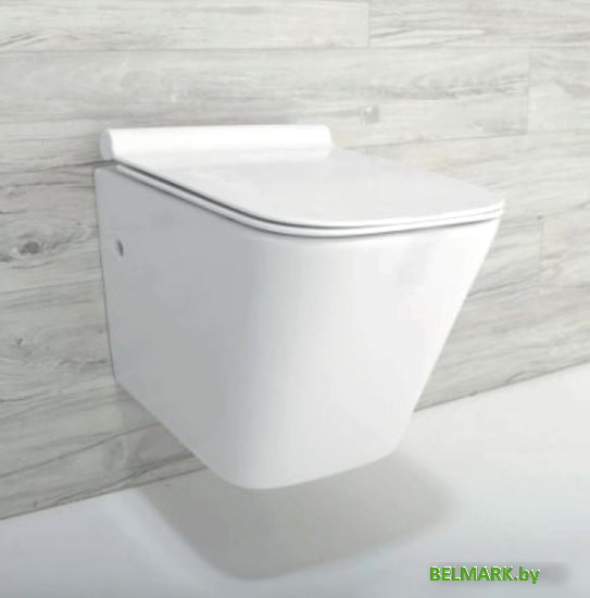 Унитаз Rea Raul Rimless REA-C9660 - фото2