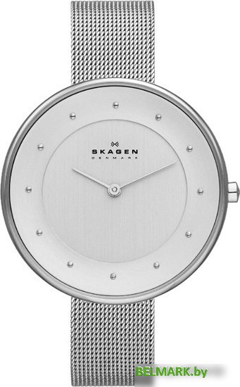 Наручные часы Skagen SKW2140 - фото