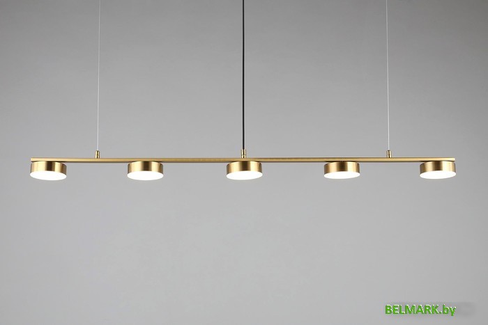 Люстра средней высоты Aployt Usia APL.047.13.35 - фото2