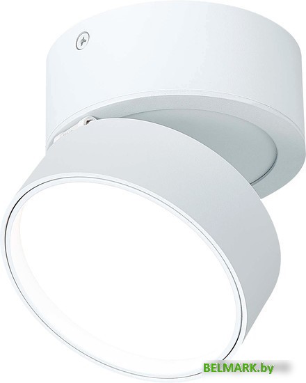 Припотолочная люстра ST Luce ST651.542.14 - фото