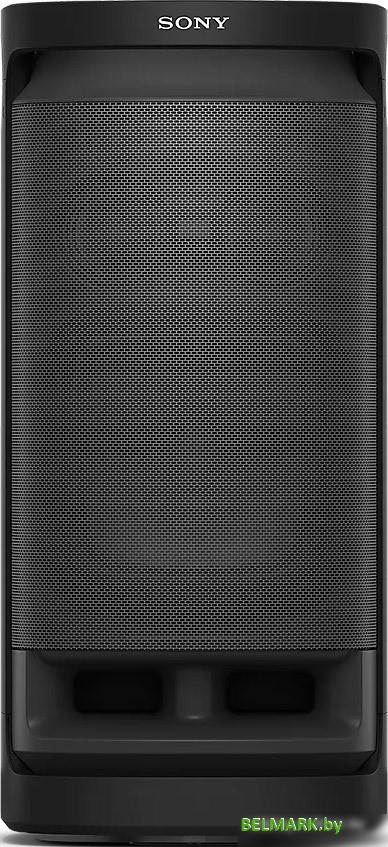 Колонка для вечеринок Sony SRS-XV900 - фото