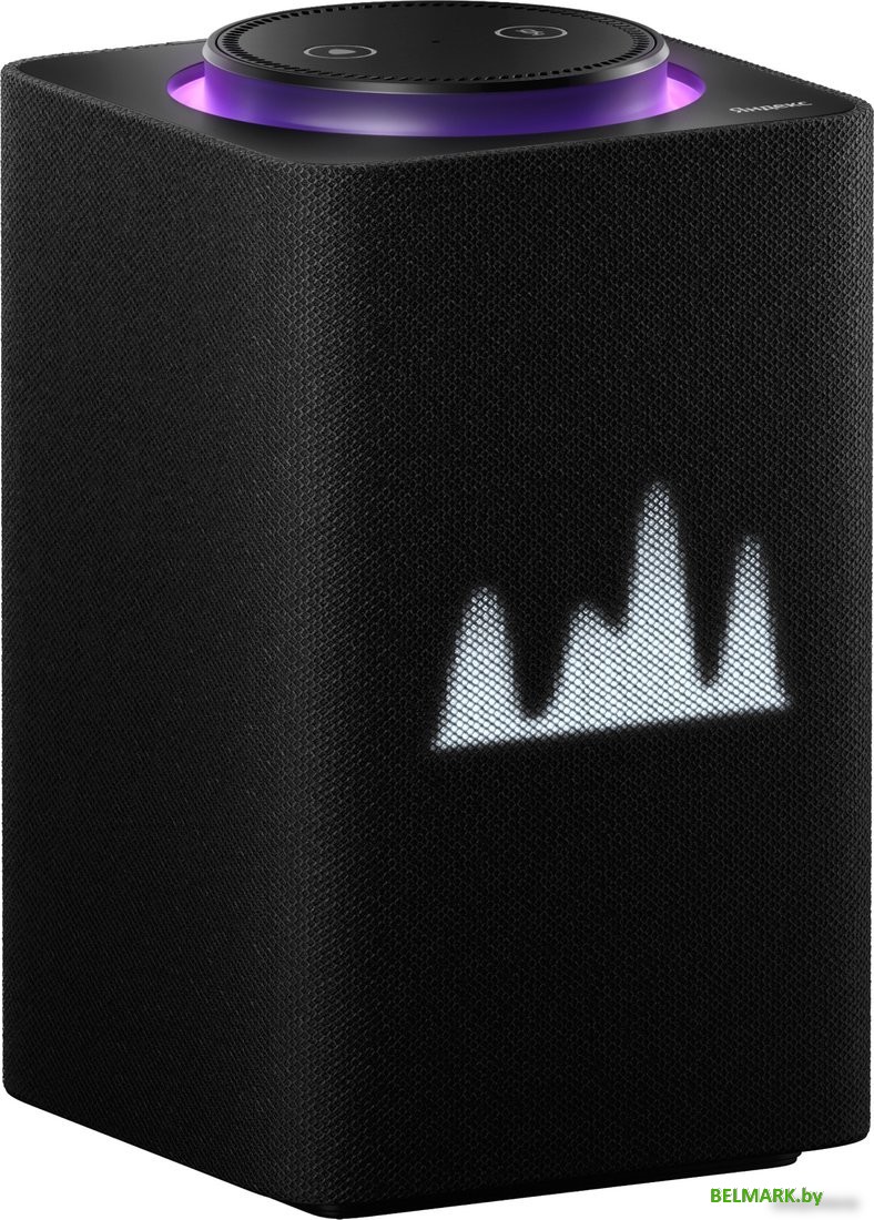 Умная колонка Яндекс Станция Макс (с хабом умного дома Zigbee, черный) - фото