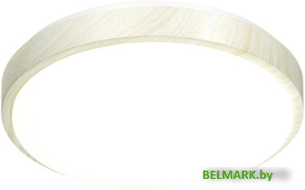 Светильник-тарелка Sonex Losta 7628/EL - фото2