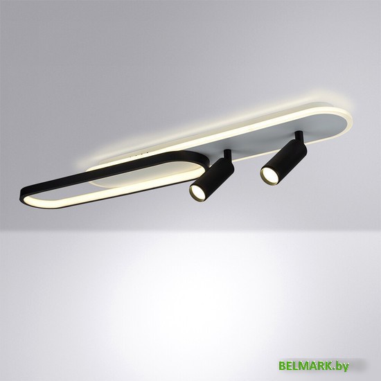 Припотолочная люстра Arte Lamp Lucas A2600PL-32BK - фото2