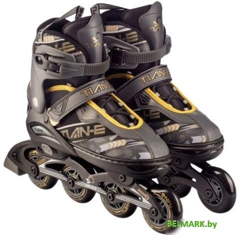 Роликовые коньки TIAN-E TE-781BKM (р. 35-38, черный) - фото