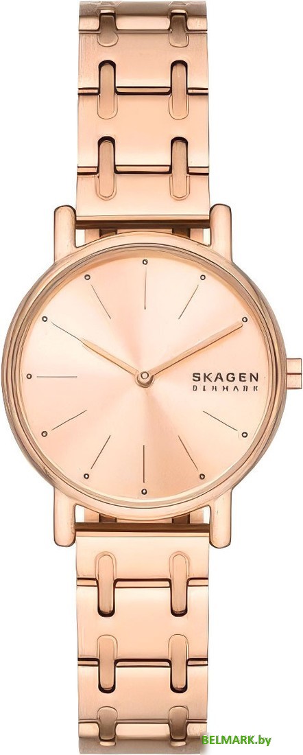 Наручные часы Skagen SKW3125 - фото