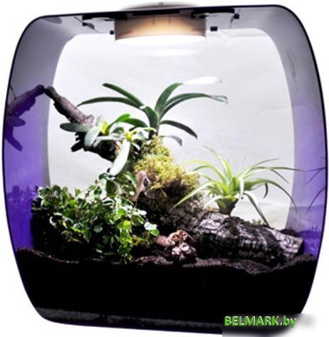 Террариум Lucky Reptile Life Box LB-35P (фиолетовый) - фото
