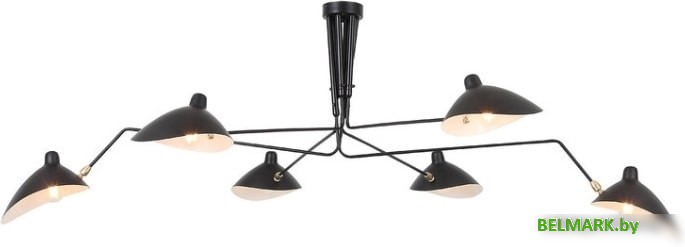 Подвесная люстра ST Luce Spruzzo SL305.402.06 - фото