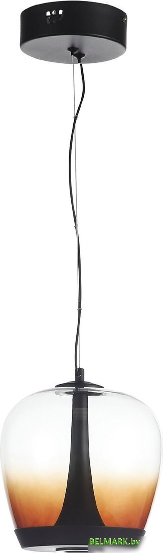 Припотолочная люстра ST Luce SL6014.413.01 - фото2