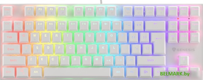 Клавиатура Genesis Thor 303 TKL RGB (белый, нет кириллицы) - фото