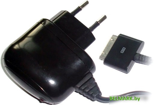 Зарядное устройство Ritmix RM-017 - фото