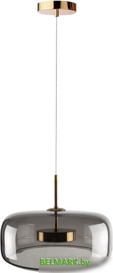 Подвесная люстра LOFT IT Dauphin 10041B - фото