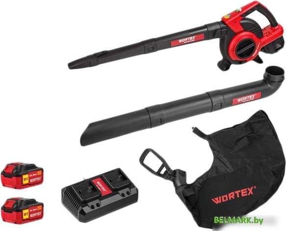 Ручная воздуходувка Wortex BB 2536-1 D ALL1 XLT SET 1333418 (с 2-мя АКБ) - фото
