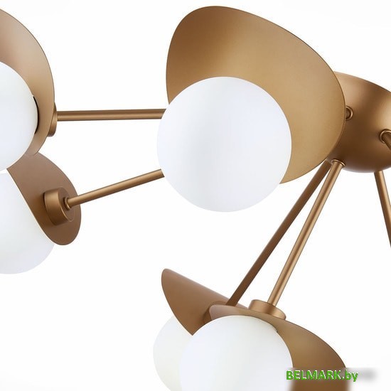 Припотолочная люстра Evoluce Bolzano SLE220502-05 - фото2