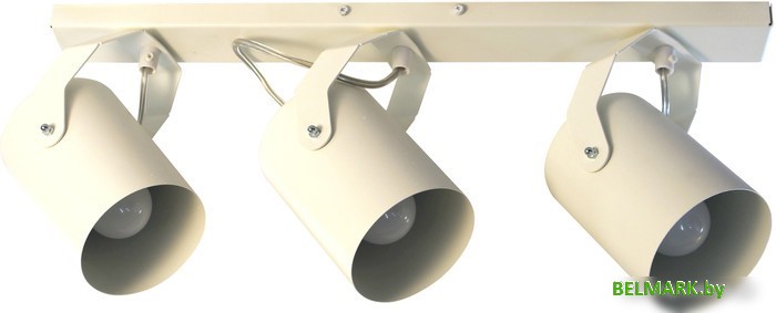 Спот Элетех Трек НПБ 01-3х60-514 1005404525 (белый матовый) - фото
