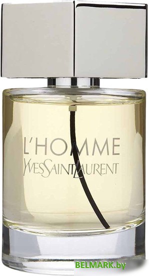 YSL L'Homme EdT (100 мл) - фото