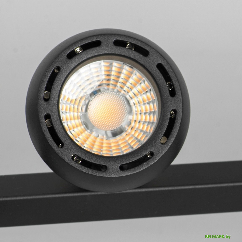 Подвесная люстра Lussole Lassen LSP-7254 - фото2