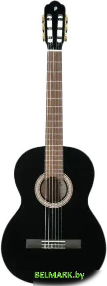 Акустическая гитара Prodipe Primera 3/4 BK - фото