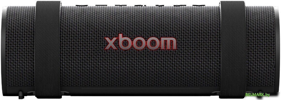 Беспроводная колонка LG XBOOM Grab - фото