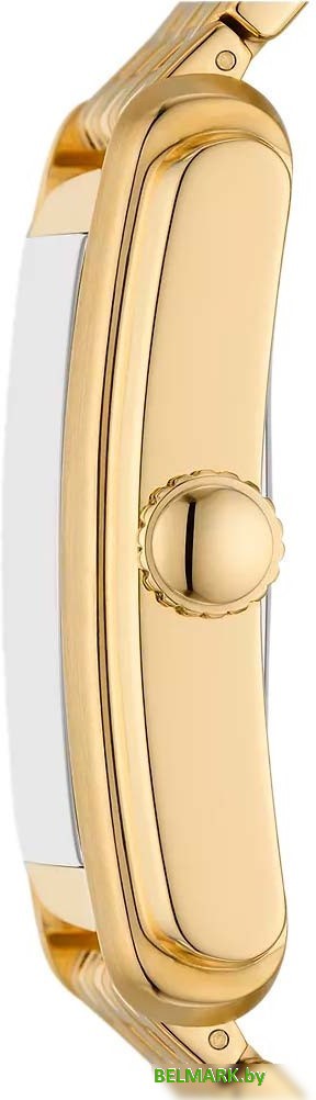 Наручные часы Fossil FS6009 - фото2