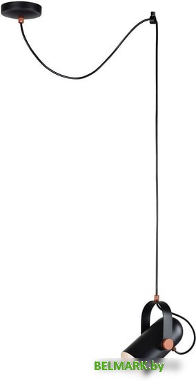 Подвесная люстра Favourite Ampolla 2007-1P - фото