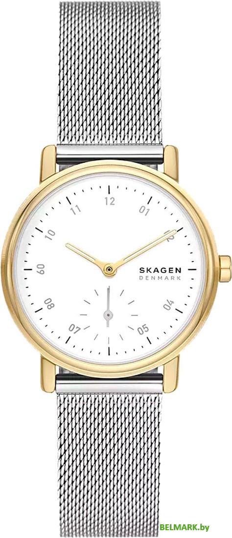 Наручные часы Skagen SKW3101 - фото